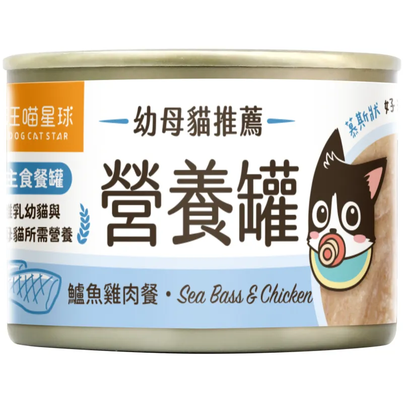 貓主食罐｜迷你無膠早餐罐