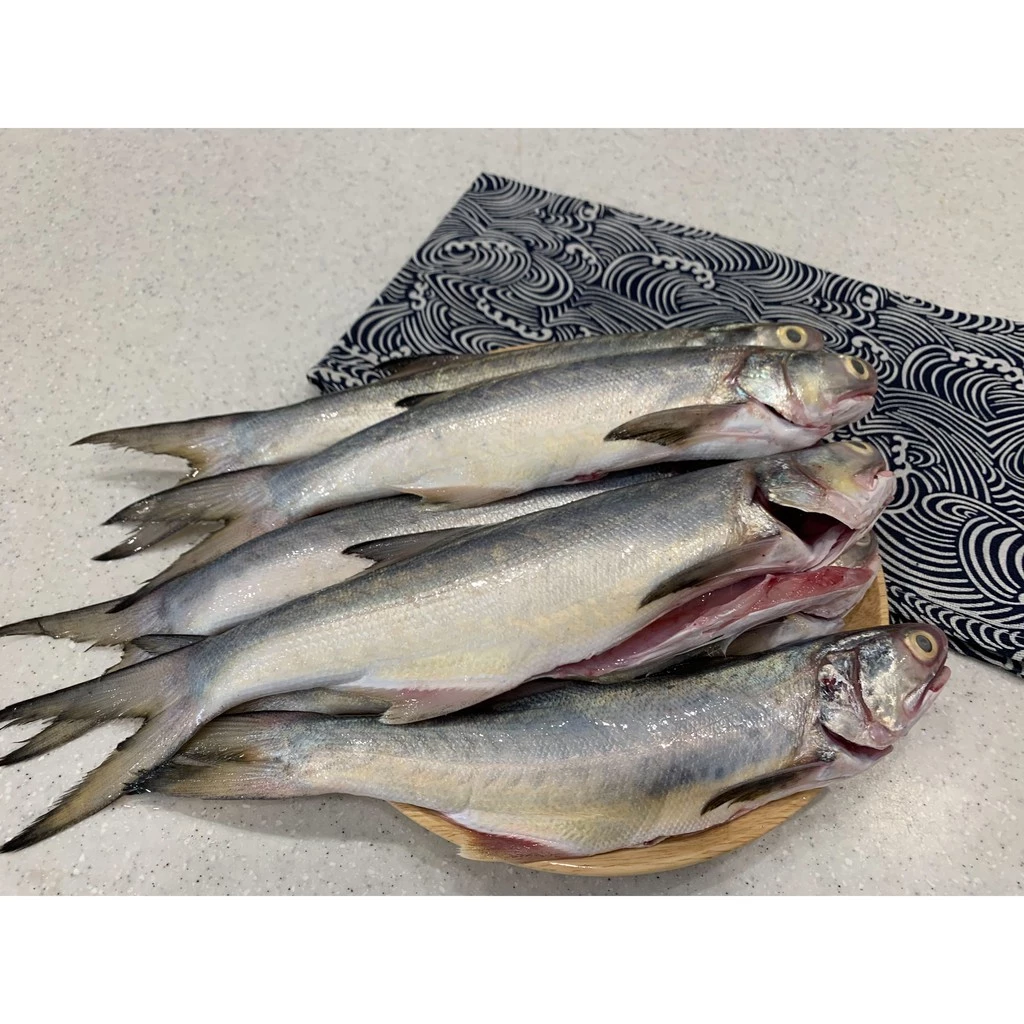 野生海午仔魚