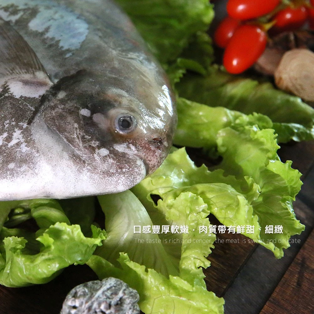 台灣野生大白鯧