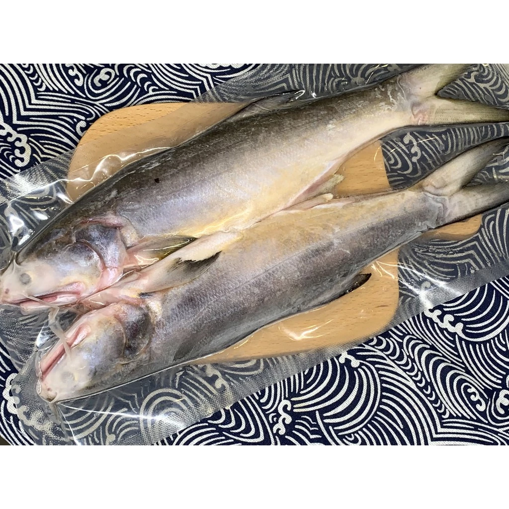 野生海午仔魚