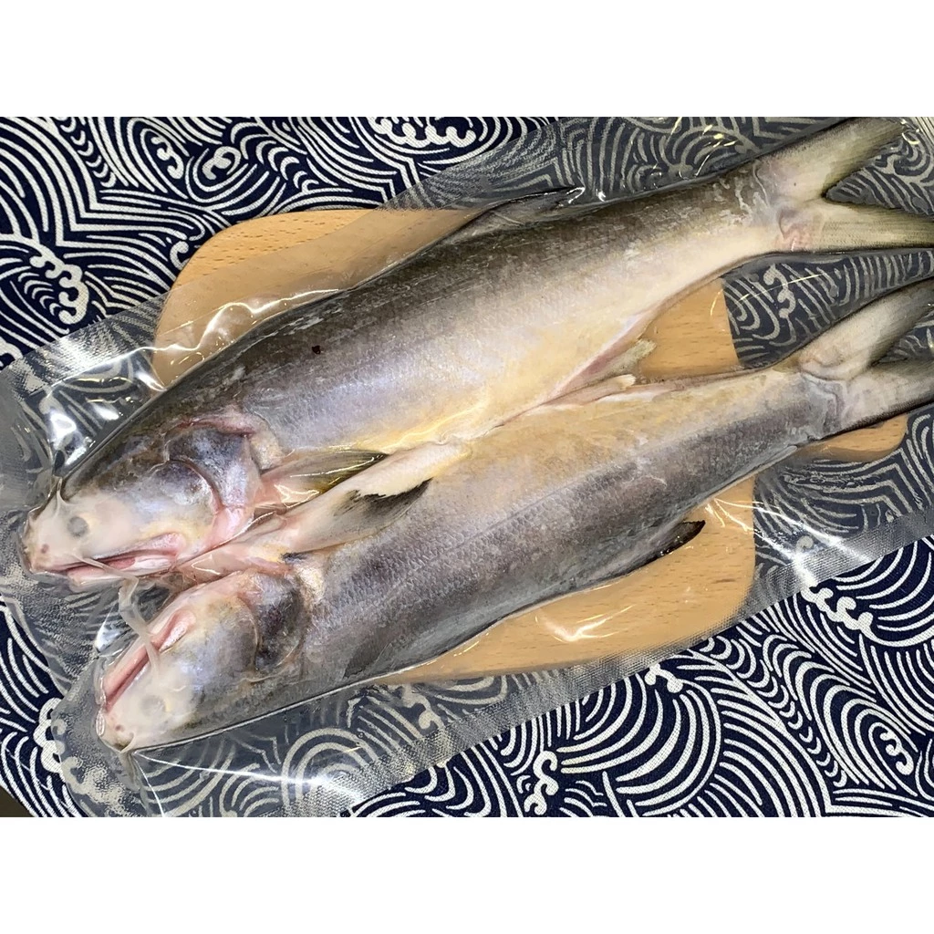 野生海午仔魚