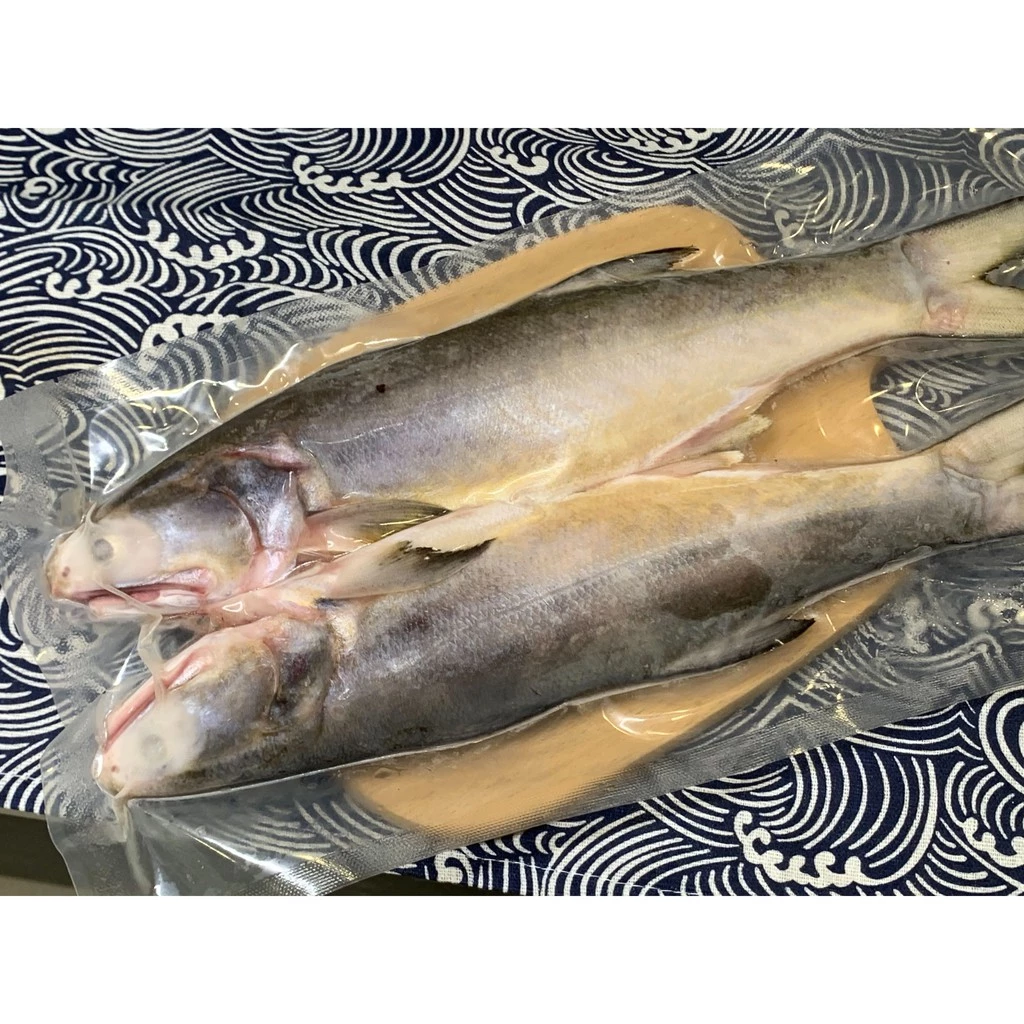 野生海午仔魚