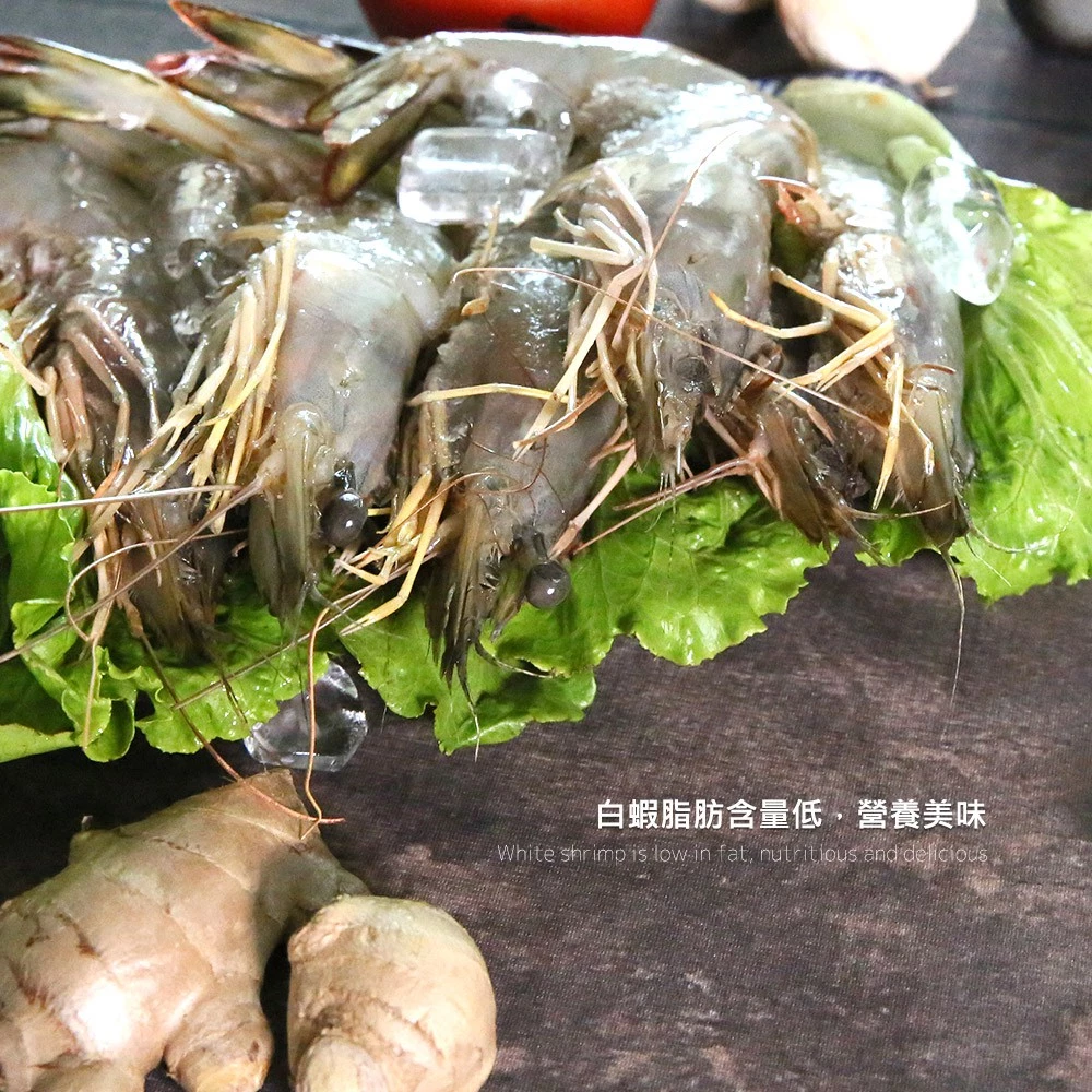 台灣野生白刺蝦