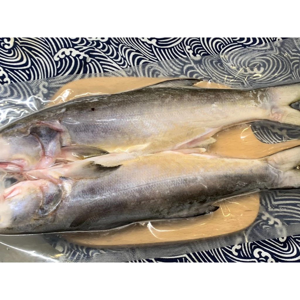 野生海午仔魚