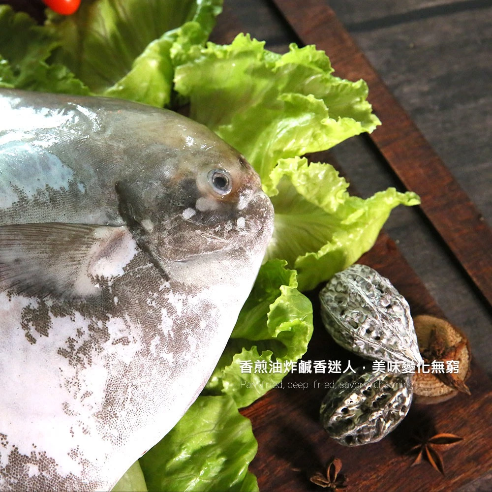 台灣野生大白鯧