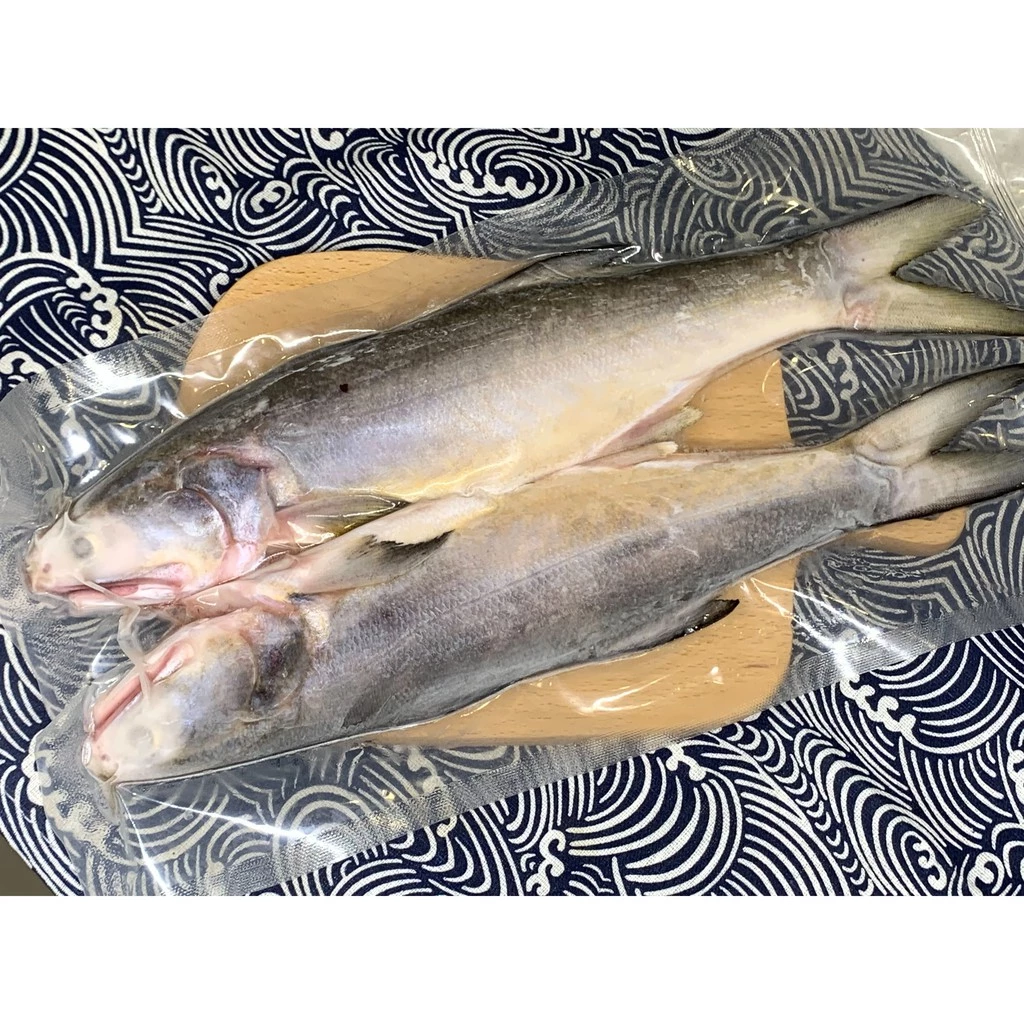 野生海午仔魚