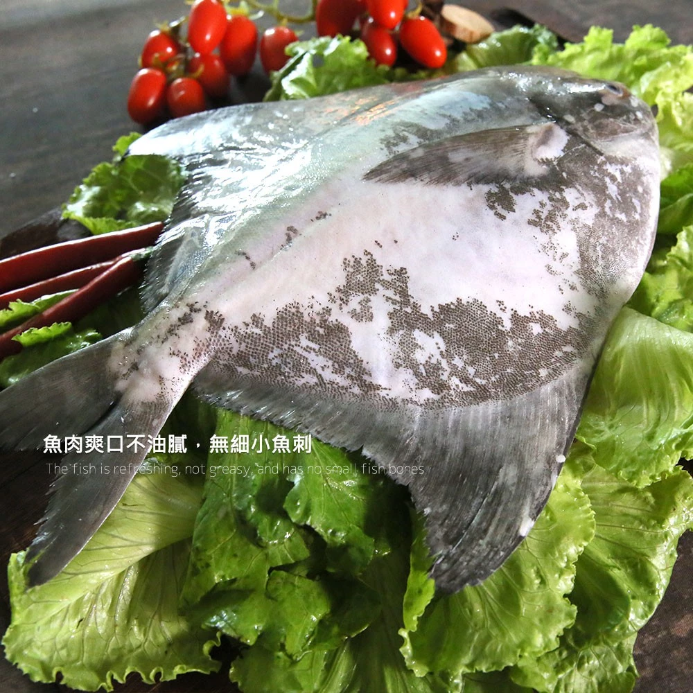 台灣野生大白鯧