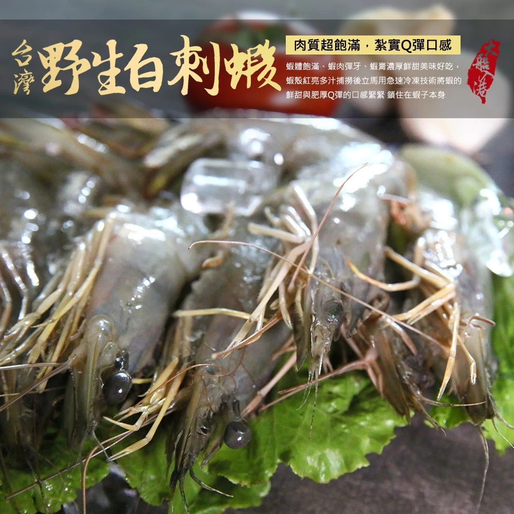 台灣野生白刺蝦