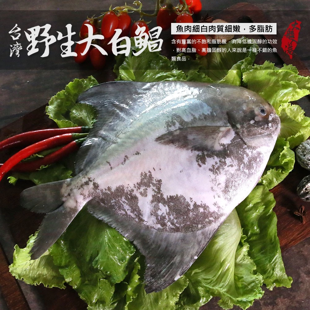 台灣野生大白鯧