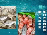 大樹漁業