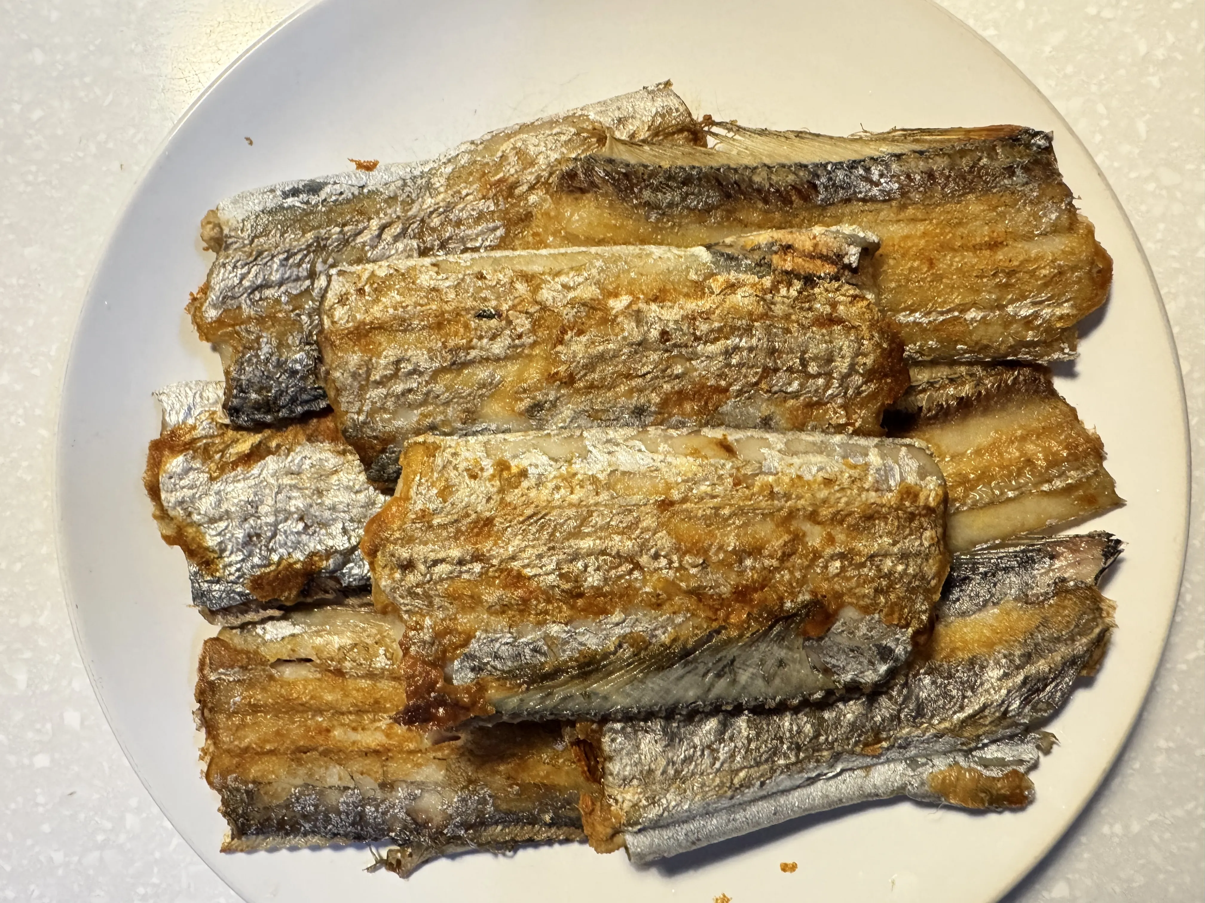 白帶魚