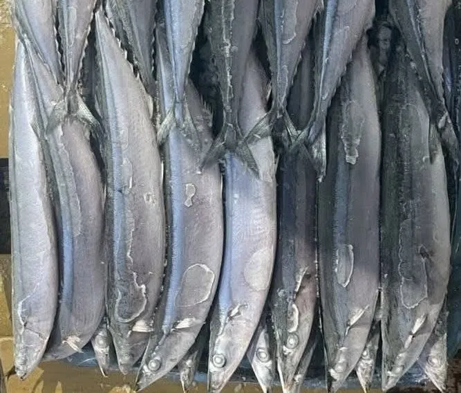 秋刀魚
