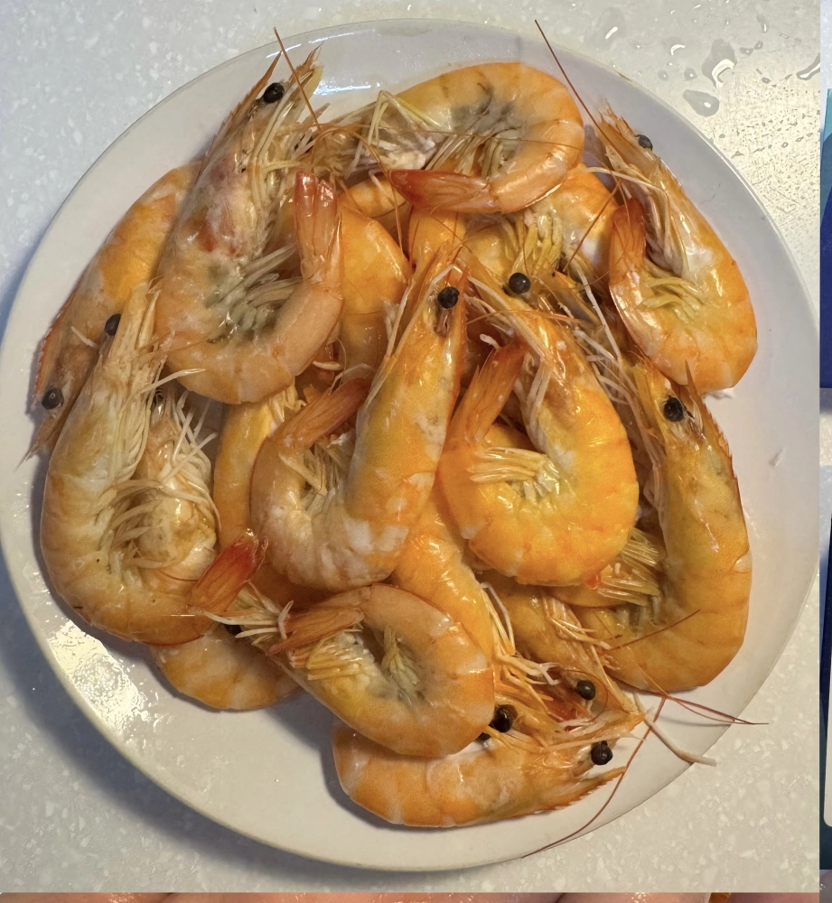 冷凍白蝦30/40