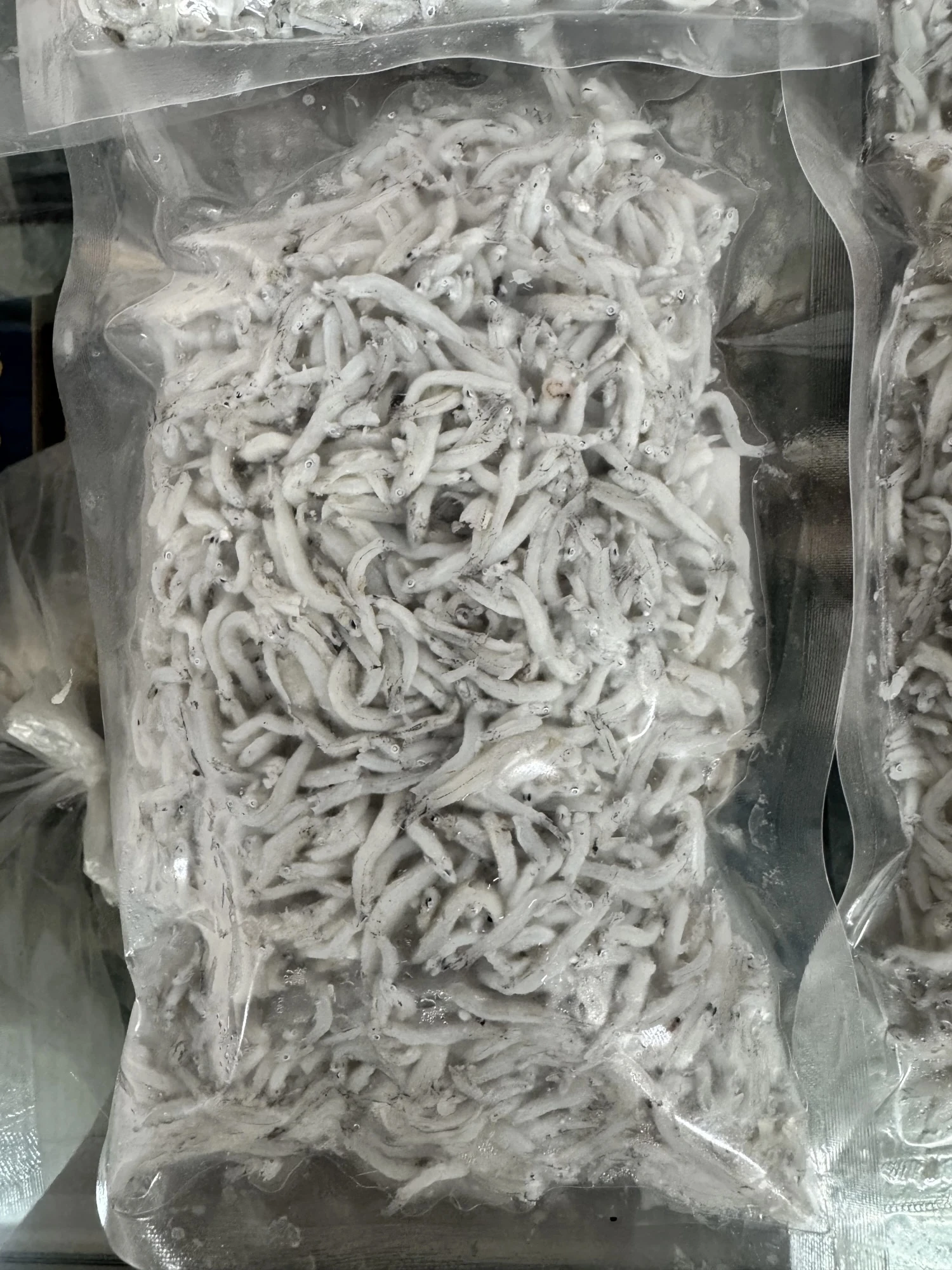 熟魩仔魚