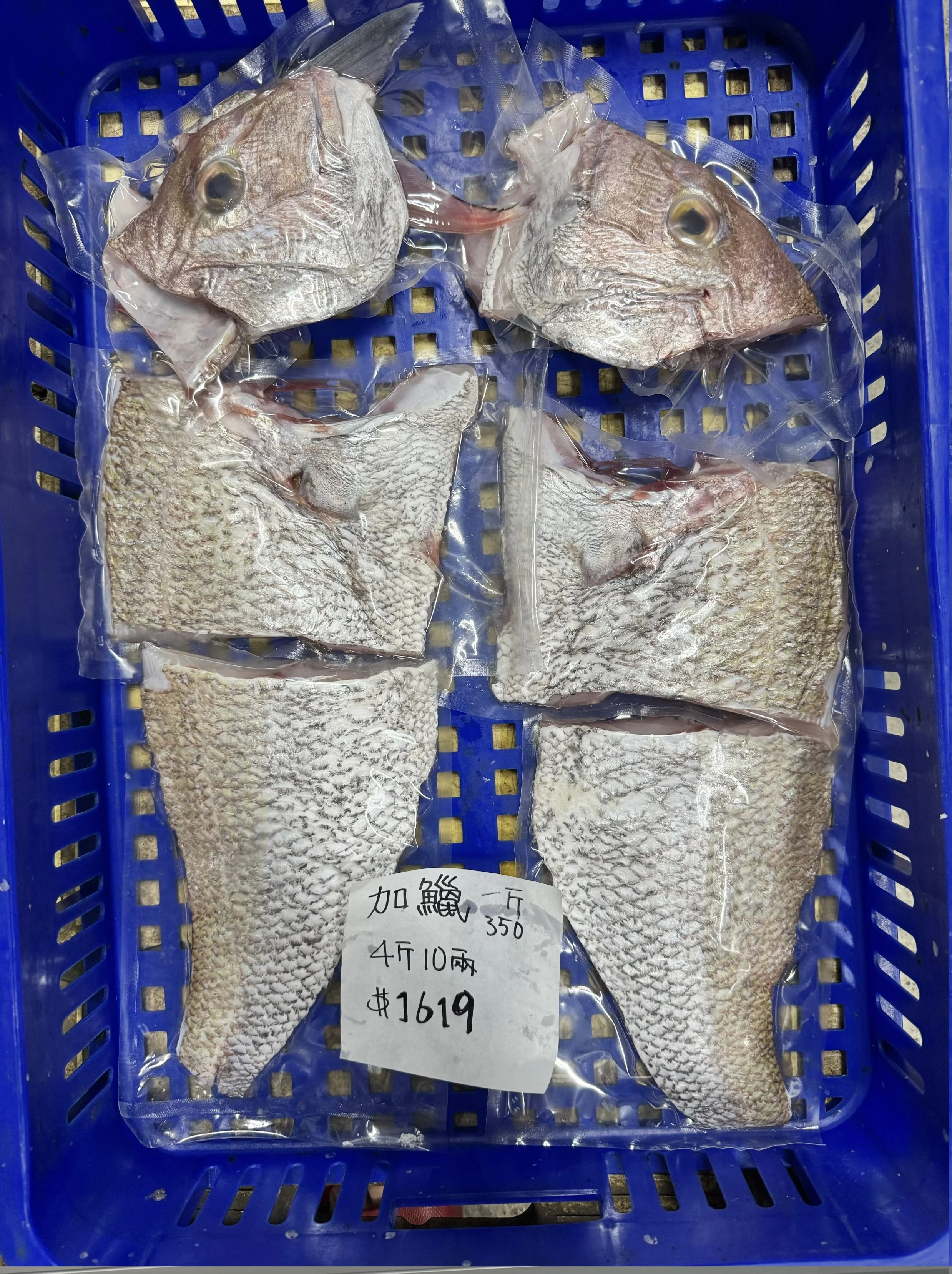 加鱲魚