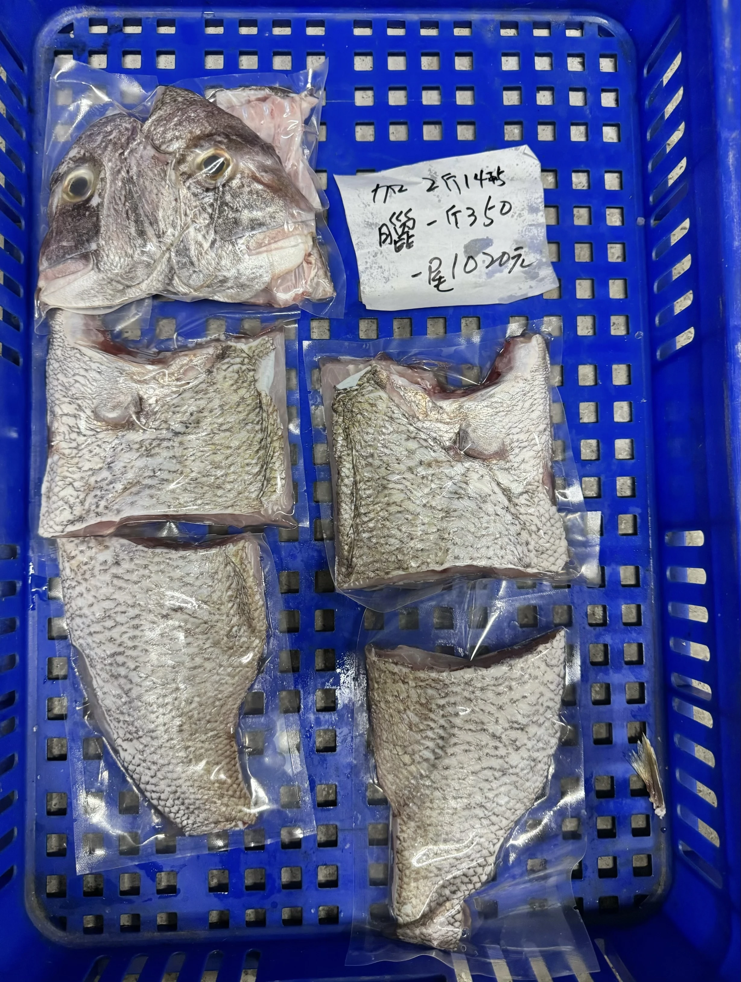 加鱲魚