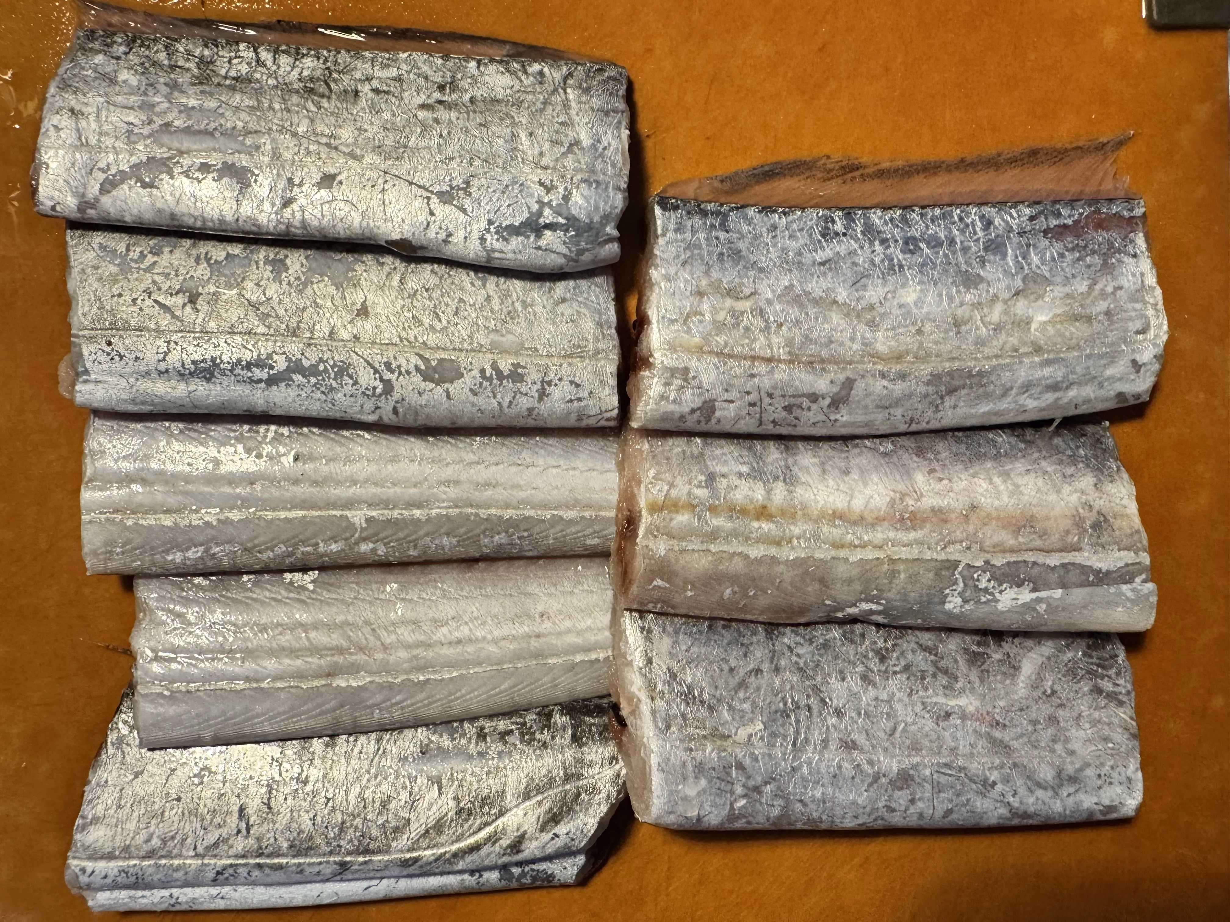 白帶魚