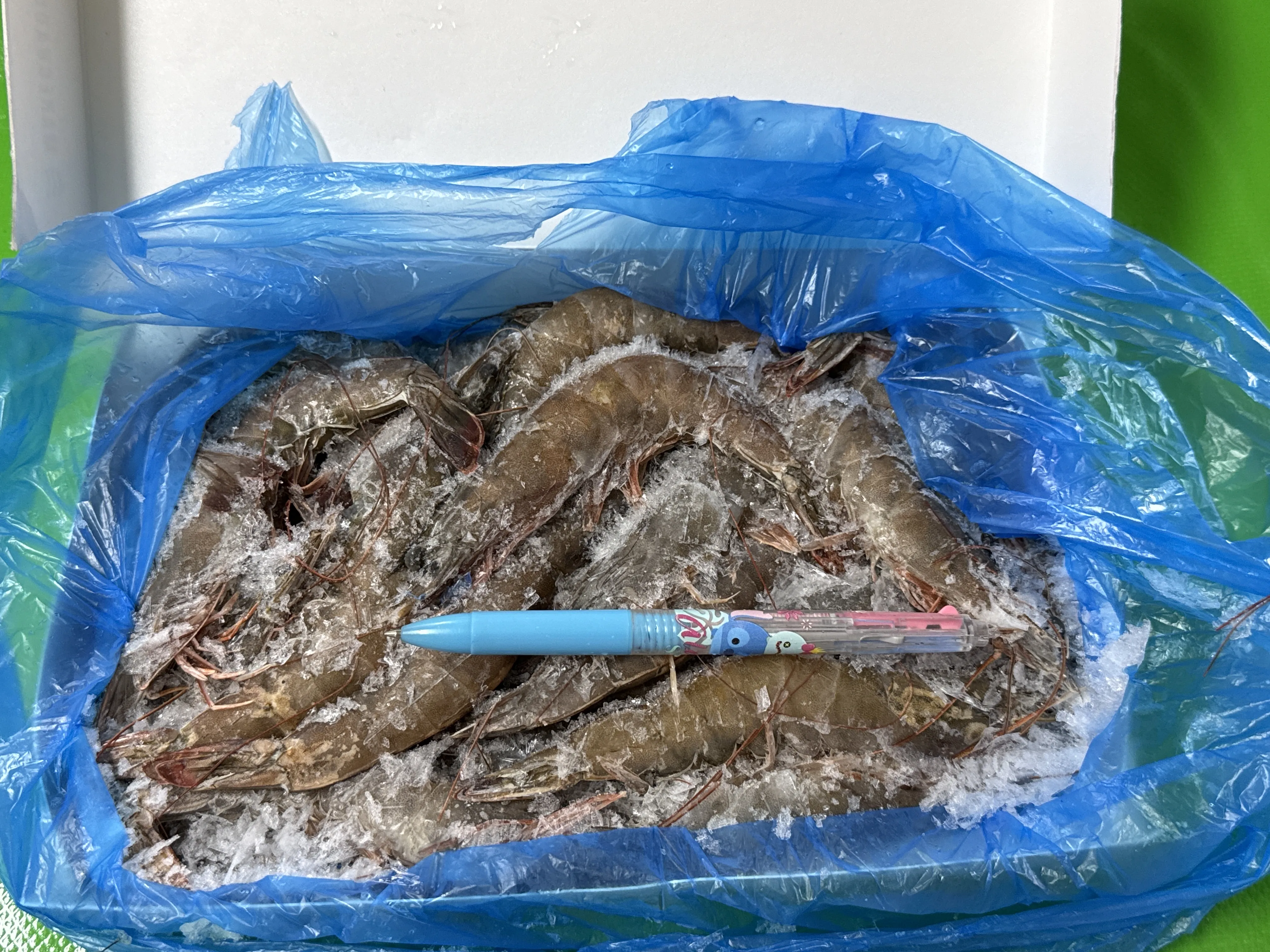 冷凍白蝦30/40