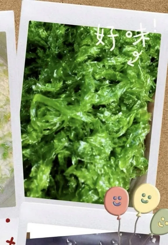 澎湖海菜