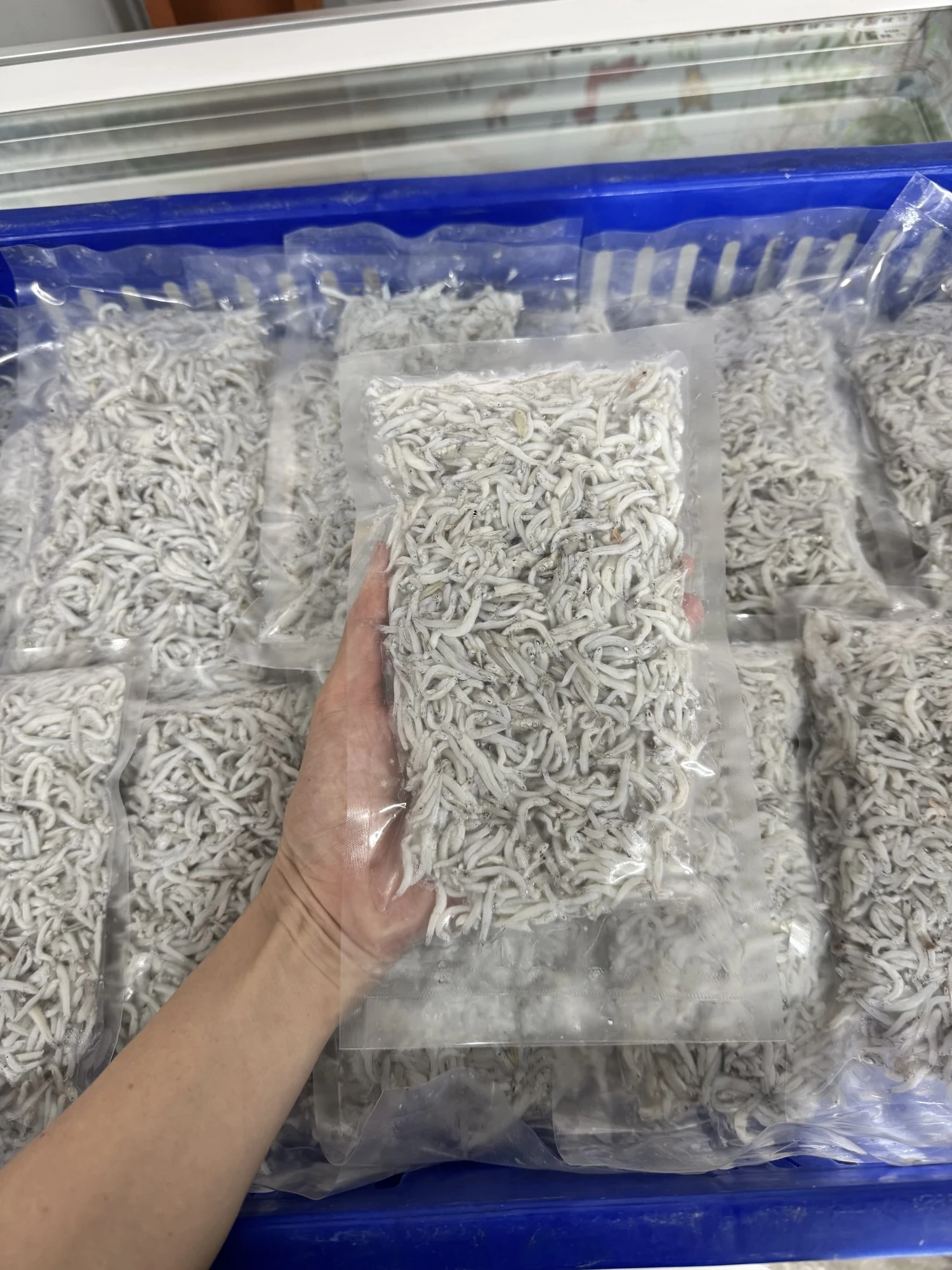 熟魩仔魚