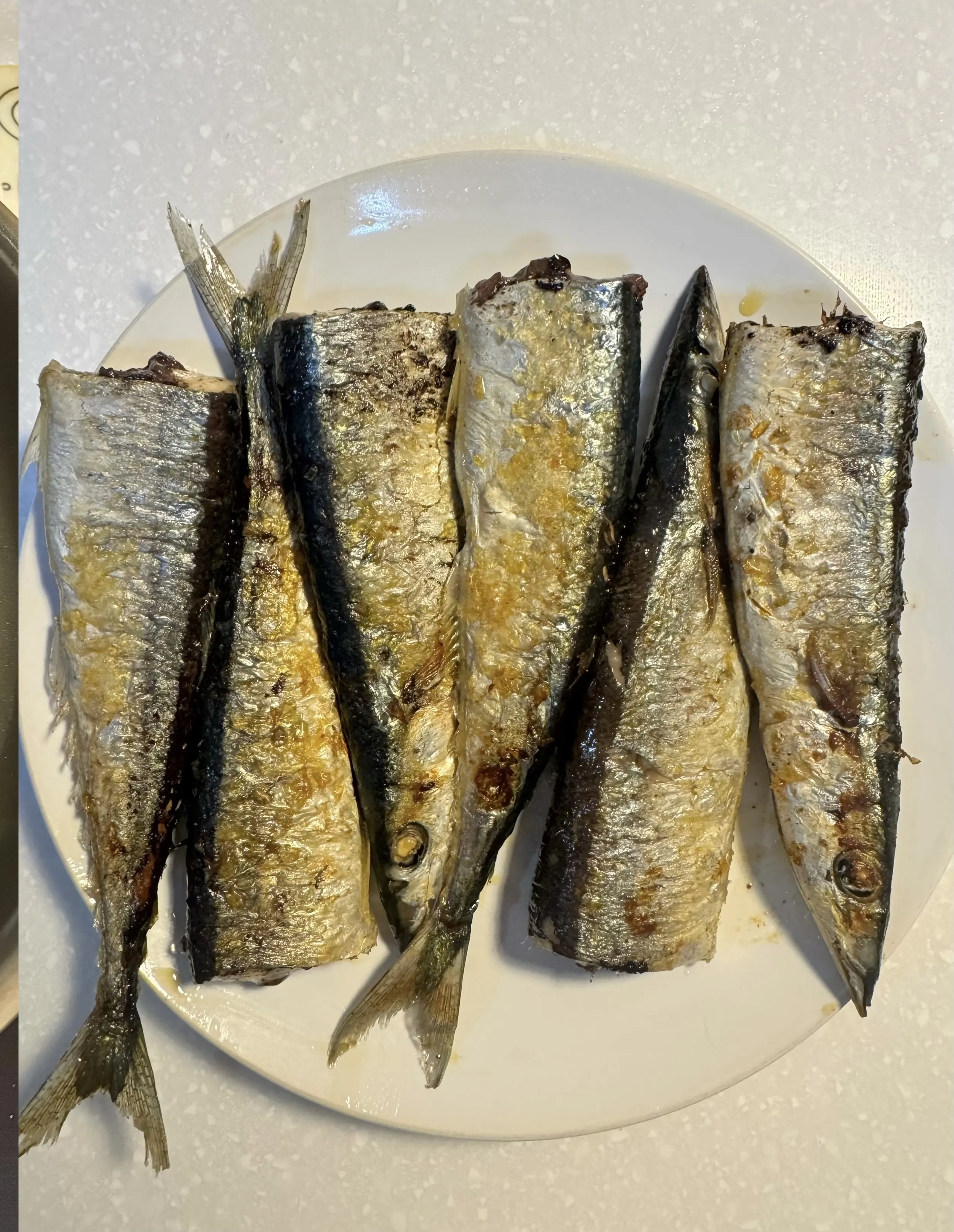 秋刀魚