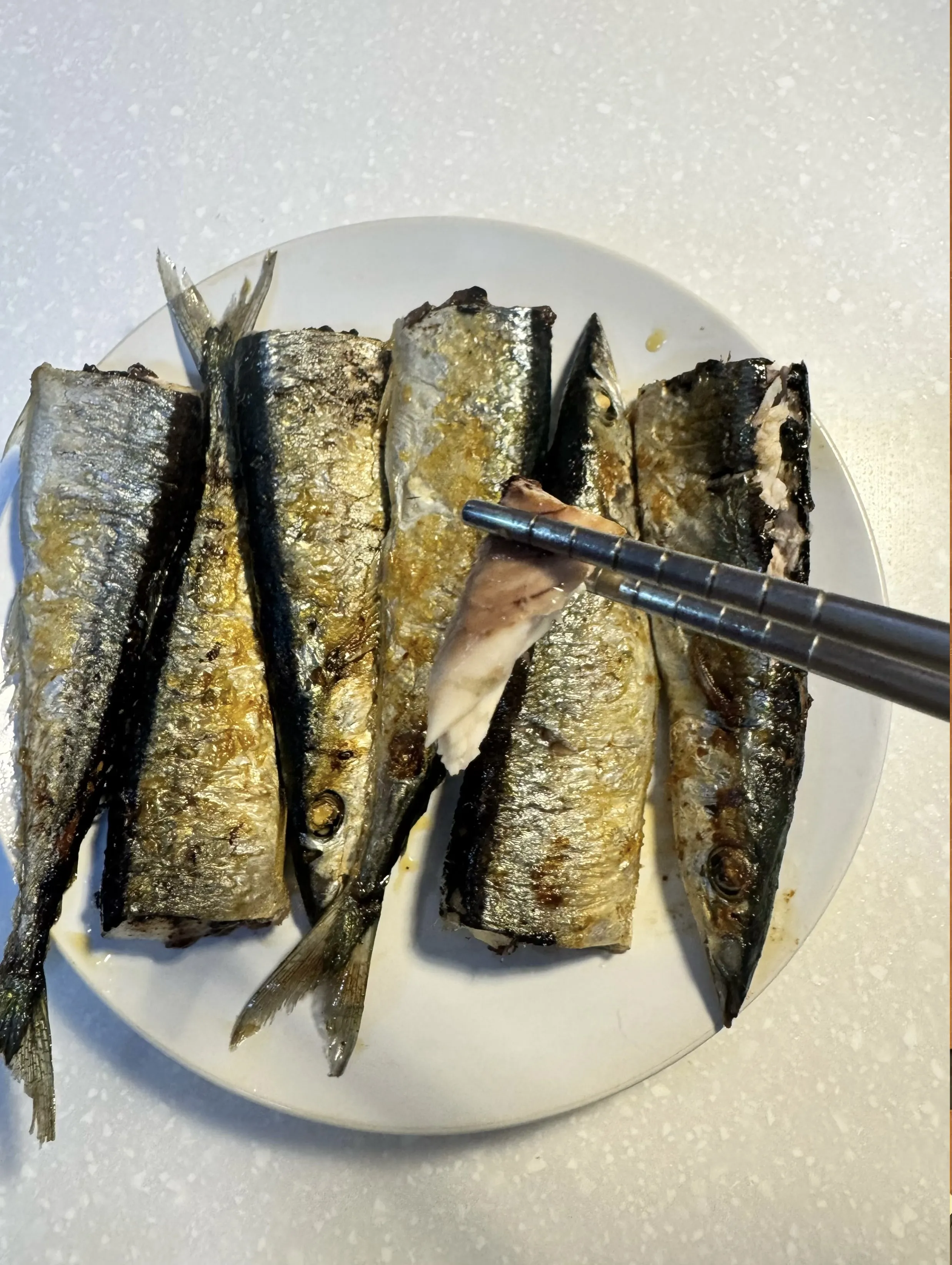 秋刀魚