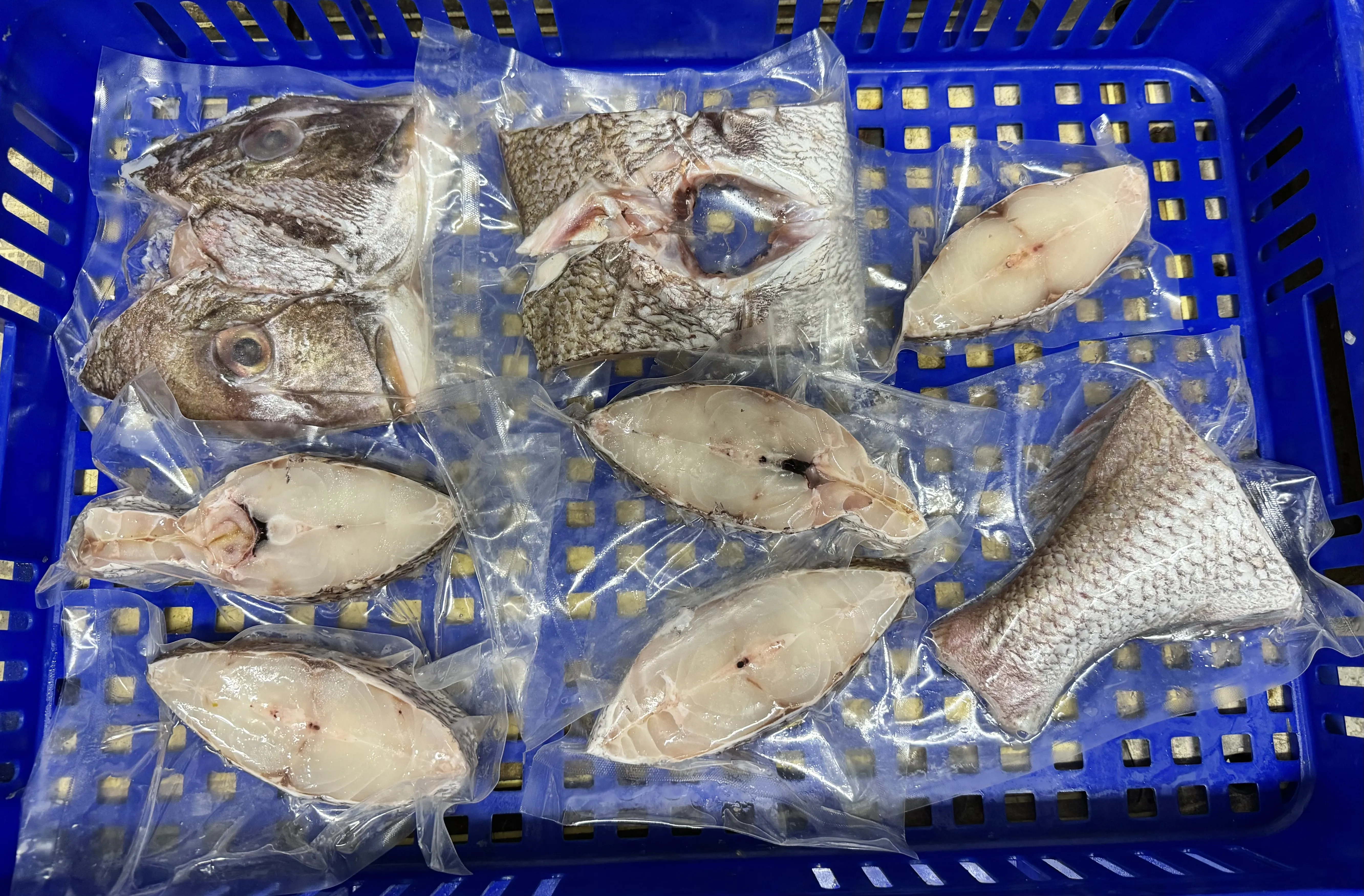 加鱲魚