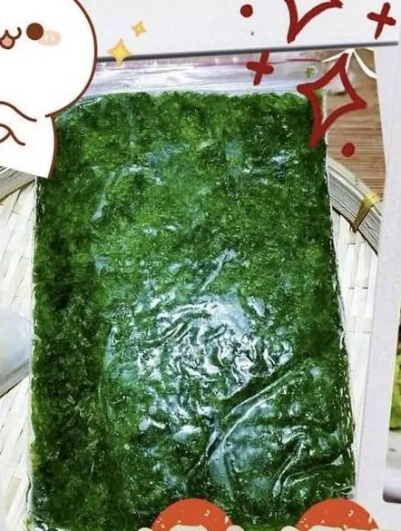 澎湖海菜