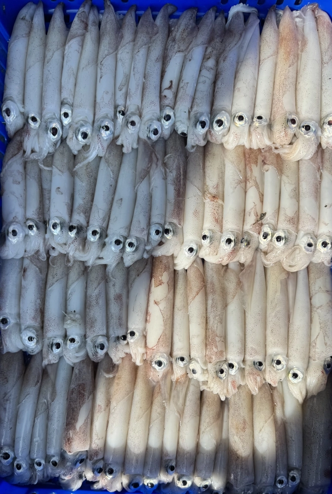 透抽