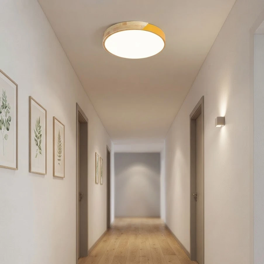 燈時代 北歐風24W LED吸頂燈 4000K 自然光 房間燈 走道燈 玄關燈 C0059-24W-B黑色 C0059-24W-W白色 C0059-24W-P粉紅色  C0059-24W-Y黃色