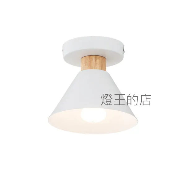 柏拉圖 工業風 玄關燈 陽台燈 吸頂燈1燈 黑色C59-55B 白色C59-55W