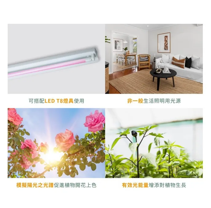 舞光 植物燈管 T8 LED  4尺 18W 紅藍光譜植物燈管 植物專用 LED-T818RB  