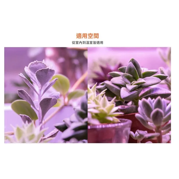 舞光 植物燈管 T8 LED  4尺 18W 紅藍光譜植物燈管 植物專用 LED-T818RB  