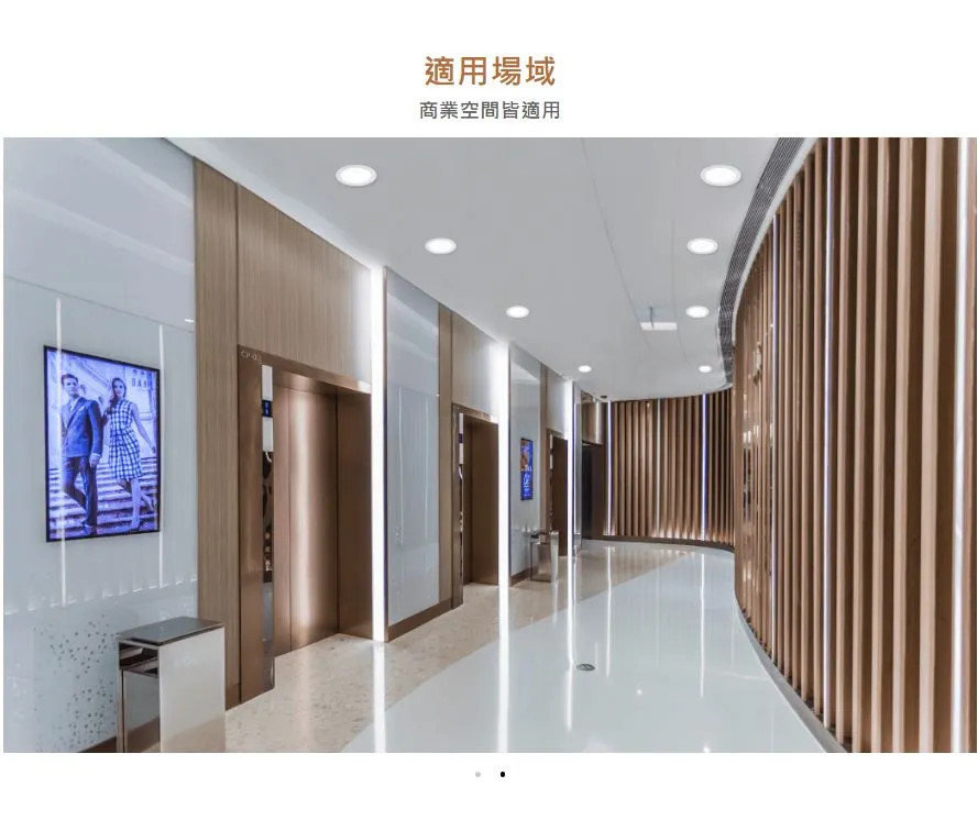 舞光 LED 25W 索爾崁燈 崁入孔21公分 適用5米 無藍光 白光D-21DOP25DR2 自然光D-21DOP25NR2 黃光D-21DOP25WR2