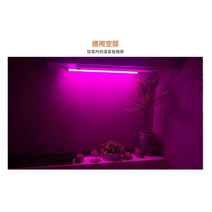 舞光 植物燈管 T8 LED  4尺 18W 紅藍光譜植物燈管 植物專用 LED-T818RB  