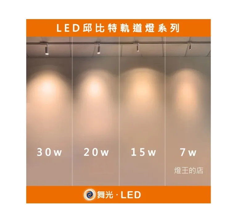舞光LED 邱比特軌道燈20W /30W 白框/黑框 防眩設計不刺眼 三色溫 全電壓 (LED-TRCP20 LED-TRCP30)