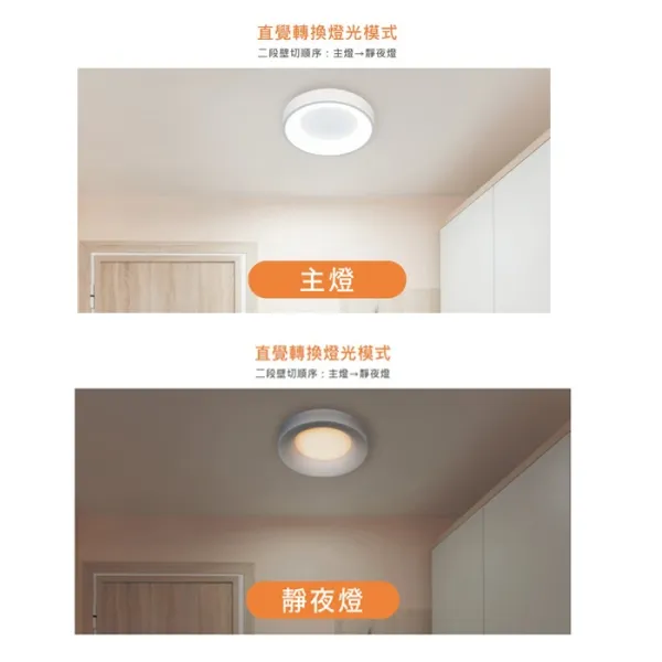 舞光 LED 24W 嫦娥壁切吸頂燈 (D-CEC24SW) 二段壁切 無藍光危害 白框/木紋框