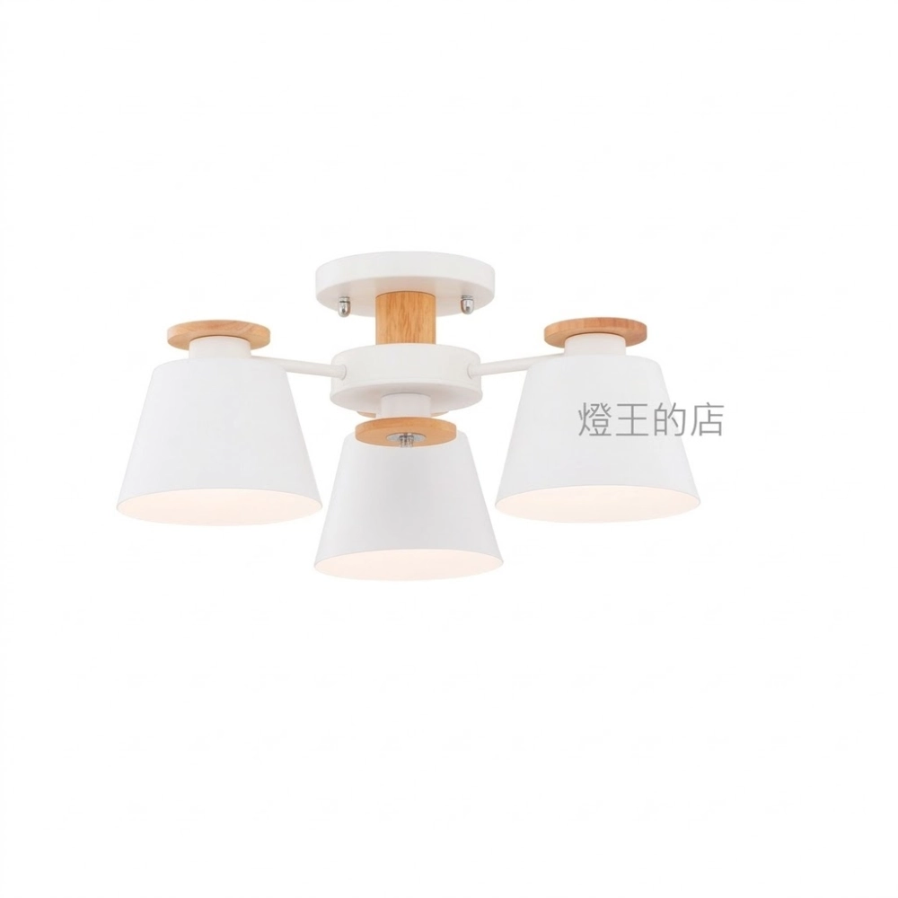 布拉格 半吸頂燈3燈 客廳 房間 餐廳燈 11286/C3