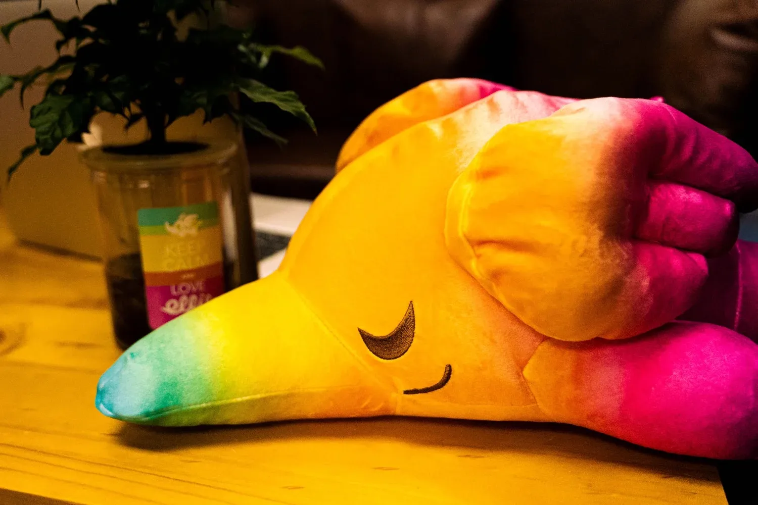 SLEEPING ELFIE  RAINBOW PLUSH  CUSHION