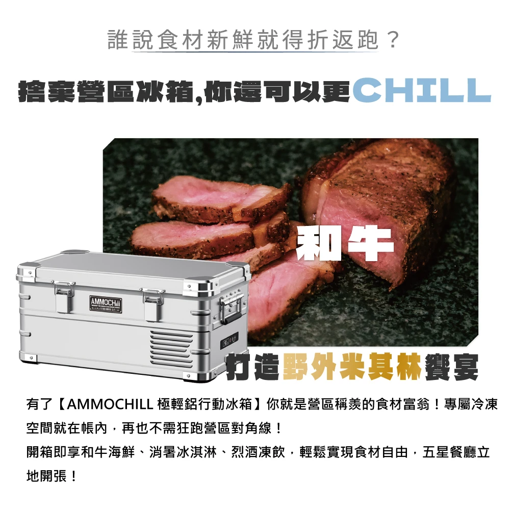 AMMOCHILL 20L 銀色 雙槽單溫控車載行動冰箱