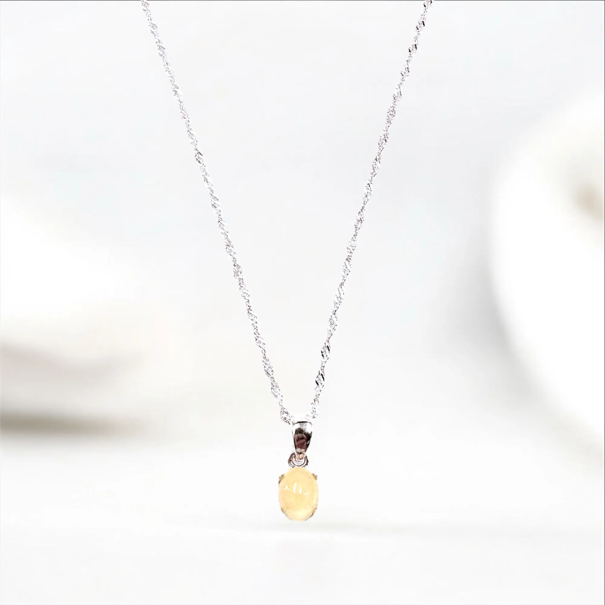 NS030 再續前緣