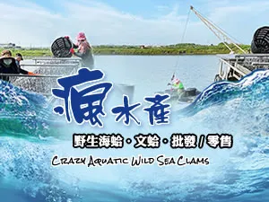 瘋水產野生海蛤文蛤赤嘴批發零售