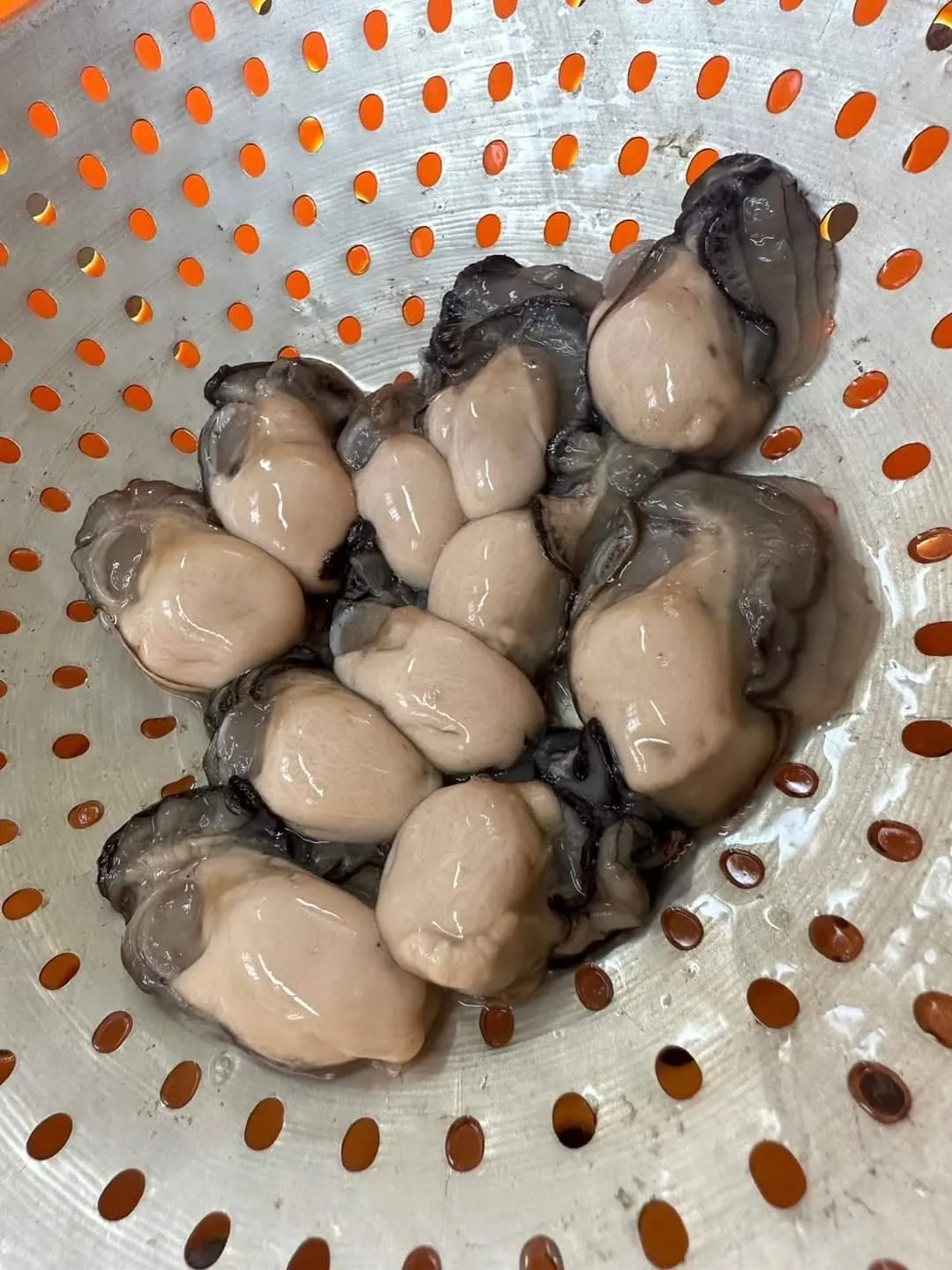 爆漿鮮蚵