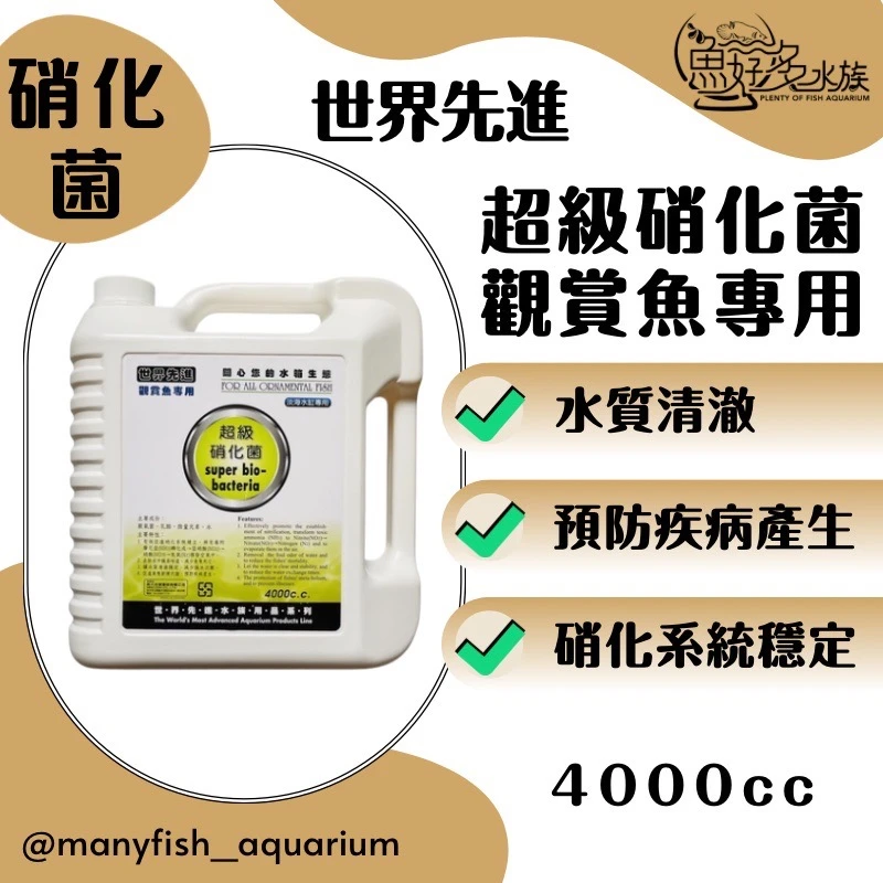 世界先進硝化菌