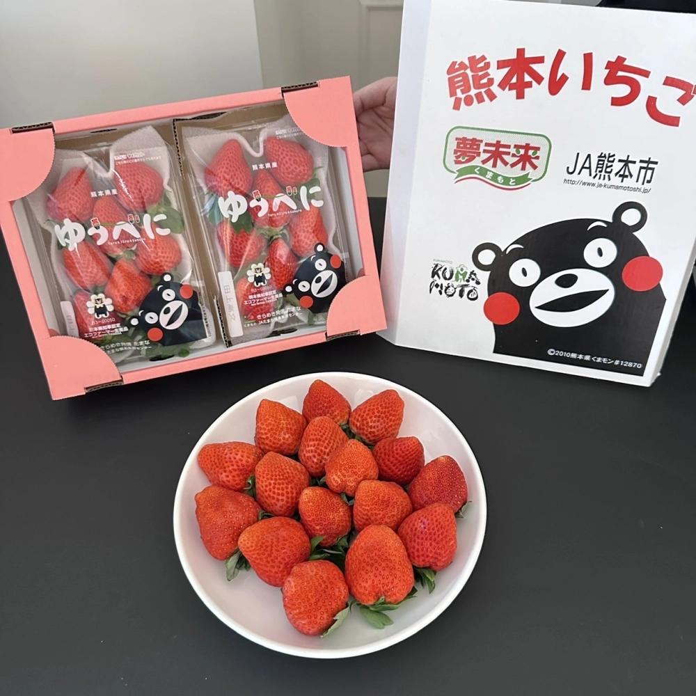 日本熊本草莓