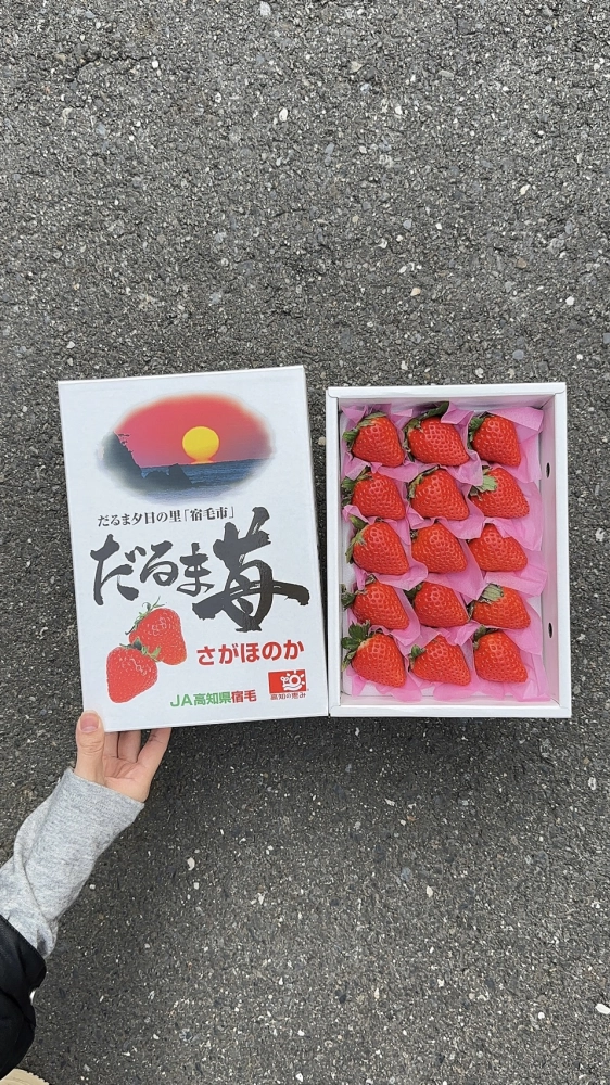 高知縣 愛心達摩草莓