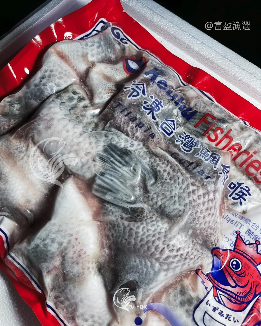 鯛魚下巴