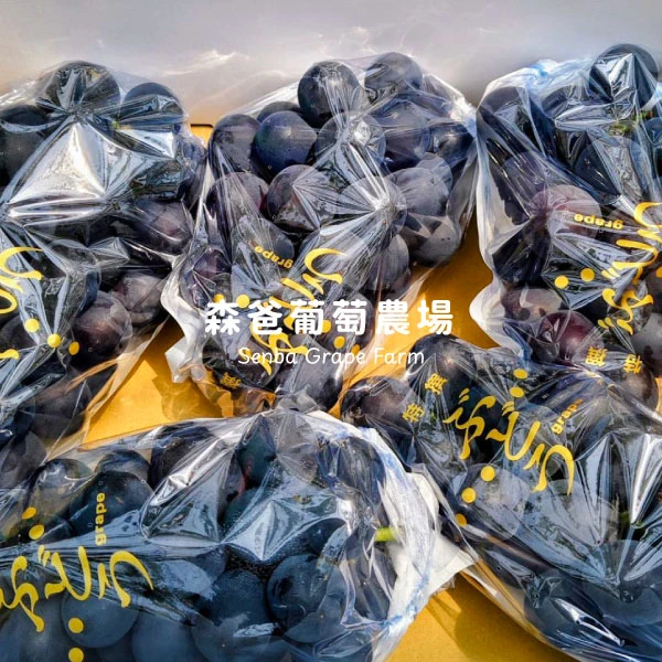 紫葡萄