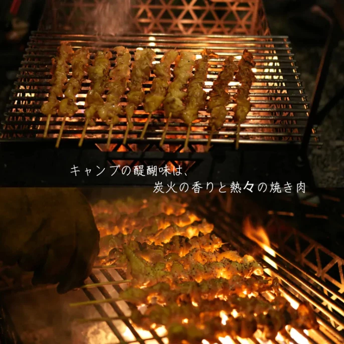 Foothills 直男不銹鋼烤網【綠色工場】烤肉架 烤肉網 烤肉用具