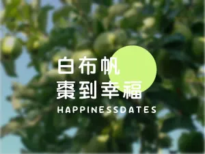 白布帆棗到幸福